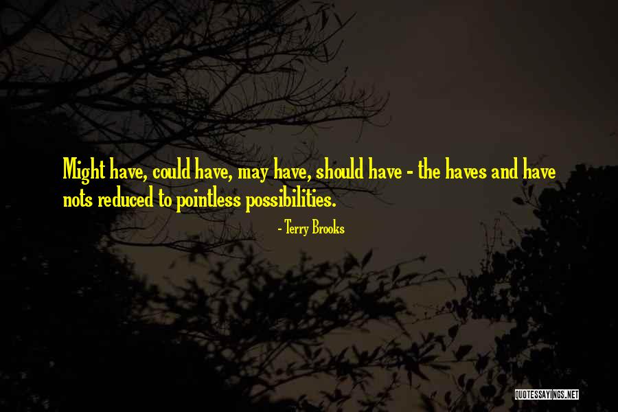 Could Haves Quotes By Terry Brooks