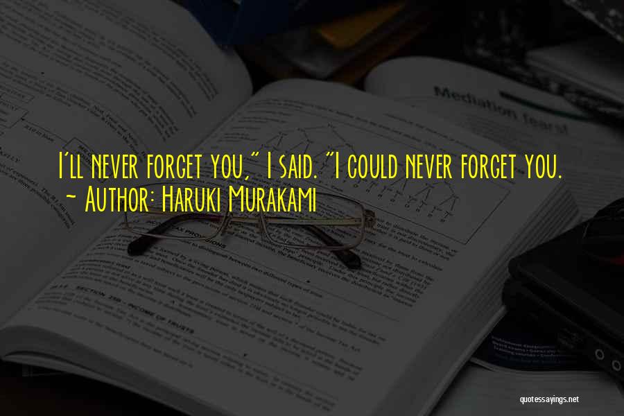 Could Never Forget You Quotes By Haruki Murakami