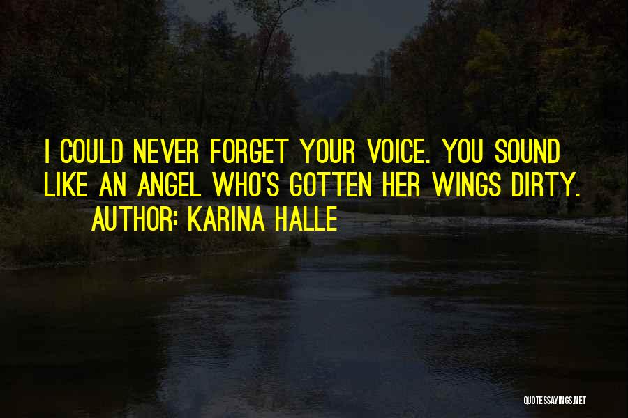 Could Never Forget You Quotes By Karina Halle