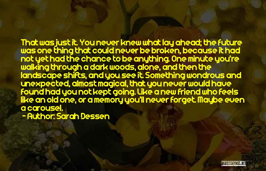 Could Never Forget You Quotes By Sarah Dessen