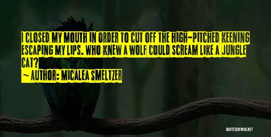 Could Scream Quotes By Micalea Smeltzer