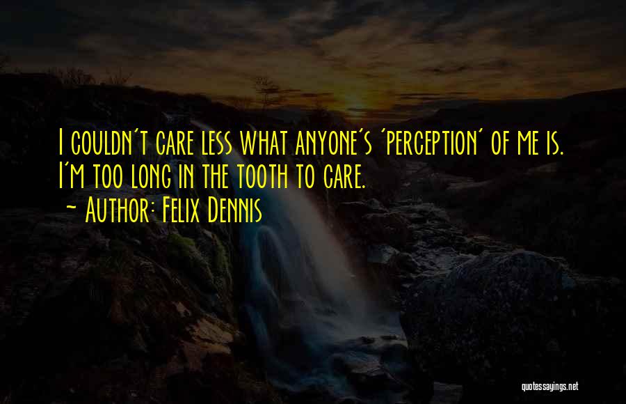 Couldn Care Less Quotes By Felix Dennis