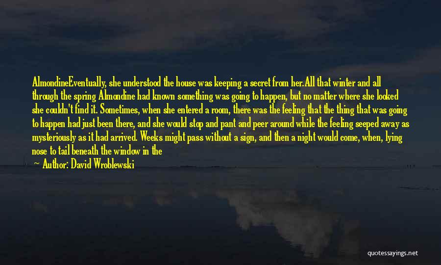 Couldn't Sleep Quotes By David Wroblewski