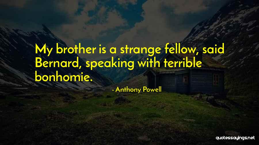 Couloirs In Colorado Quotes By Anthony Powell