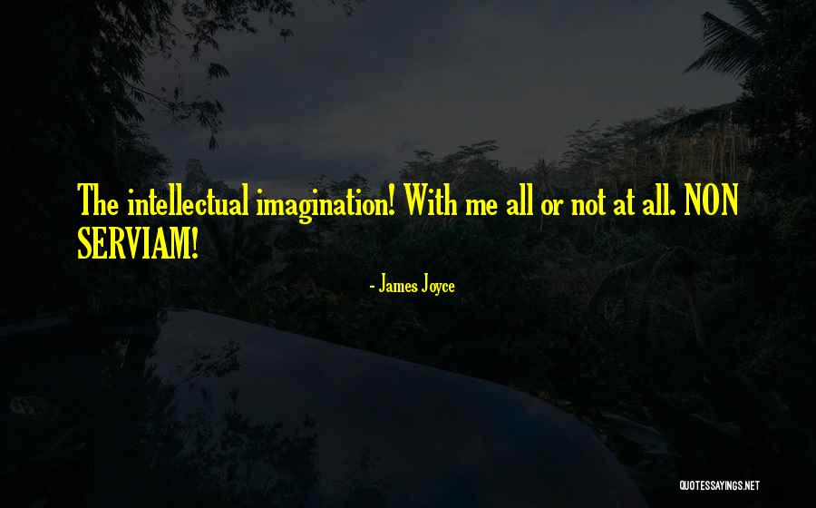 Councell Quotes By James Joyce Councell Quotes By James Joyce