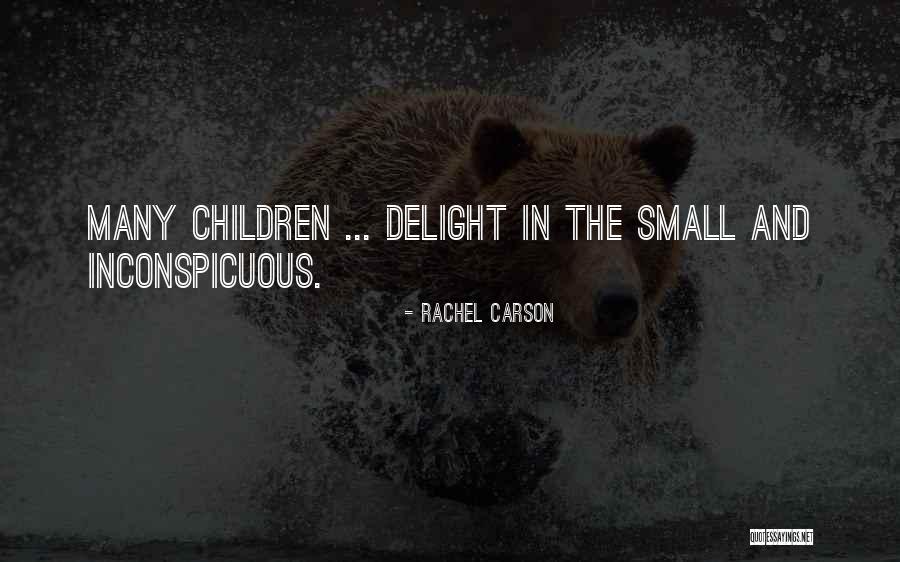 Council My Account Quotes By Rachel Carson Council My Account Quotes By Rachel Carson