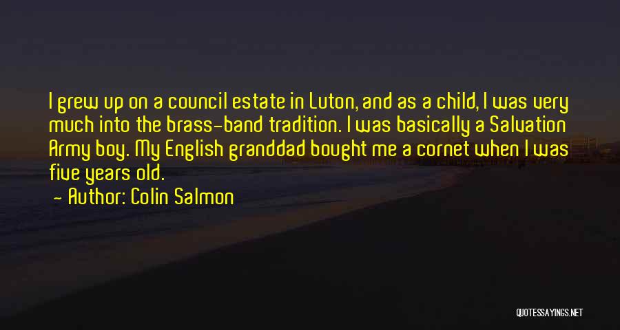 Council My Quotes By Colin Salmon