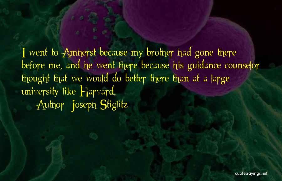 Counselor Quotes By Joseph Stiglitz
