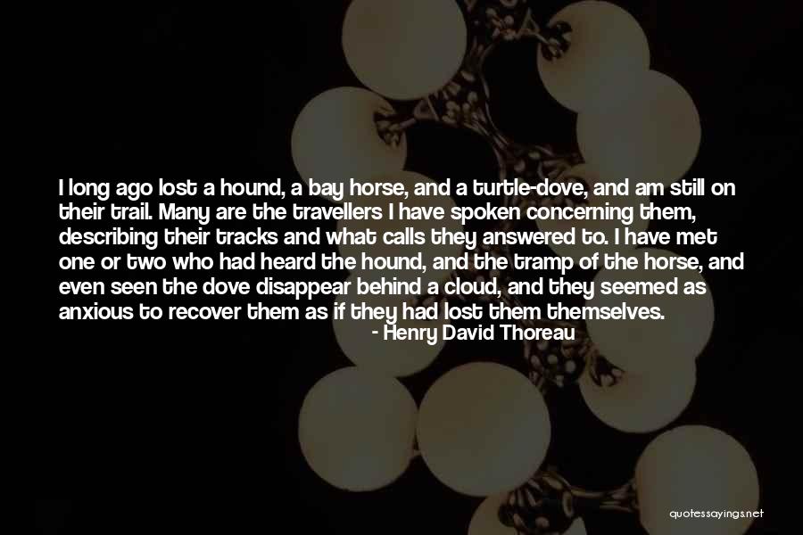 Count De Monte Cristo Quotes By Henry David Thoreau Count De Monte Cristo Quotes By Henry David Thoreau