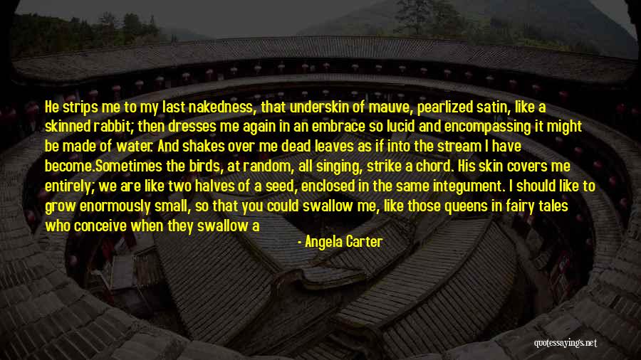 Counter Cultural Quotes By Angela Carter Counter Cultural Quotes By Angela Carter