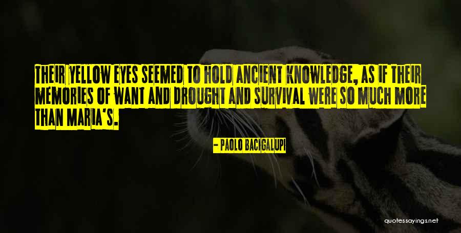 Counter Response To Appellate Quotes By Paolo Bacigalupi Counter Response To Appellate Quotes By Paolo Bacigalupi