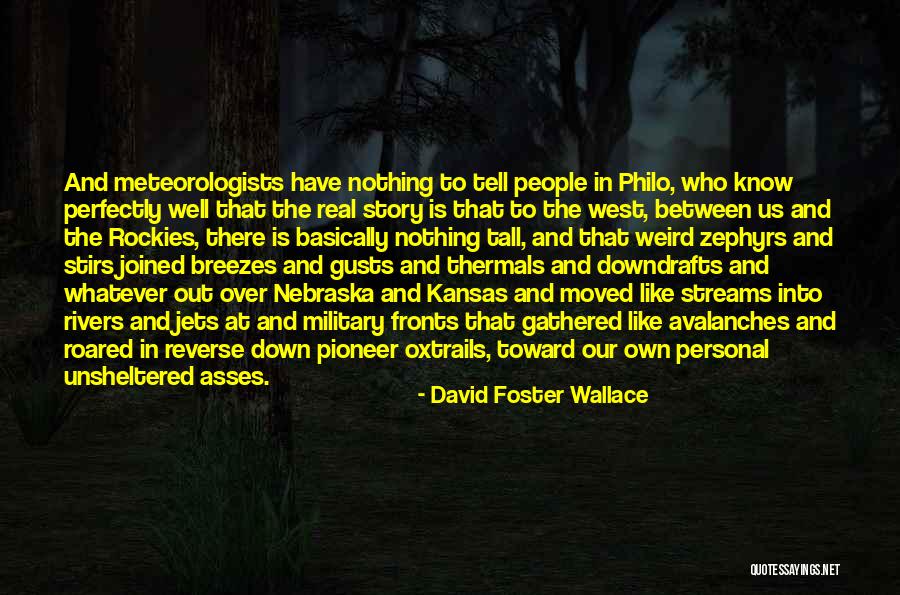 Counterbalancing In Experiments Quotes By David Foster Wallace Counterbalancing In Experiments Quotes By David Foster Wallace