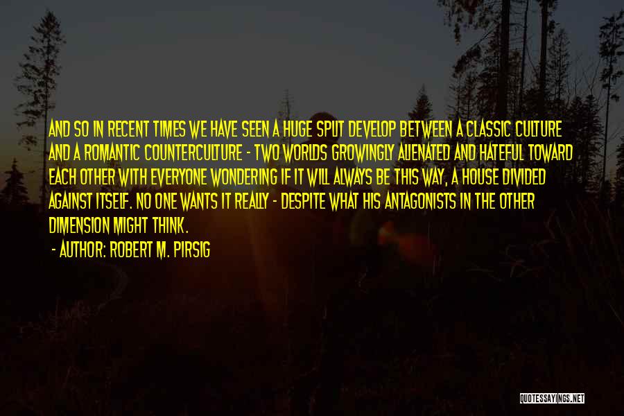 Counterculture Quotes By Robert M. Pirsig