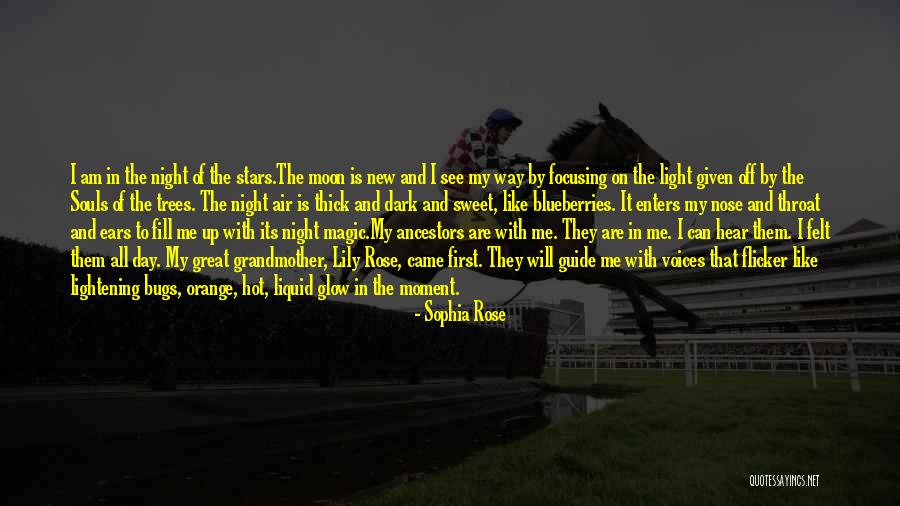 Countermarch To Nazis Quotes By Sophia Rose Countermarch To Nazis Quotes By Sophia Rose