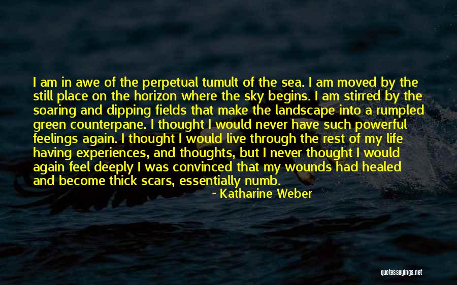 Counterpane Quotes By Katharine Weber Counterpane Quotes By Katharine Weber