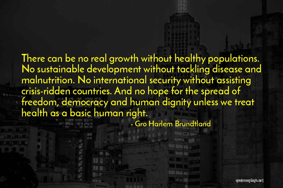 Countries Without Quotes By Gro Harlem Brundtland Countries Without Quotes By Gro Harlem Brundtland