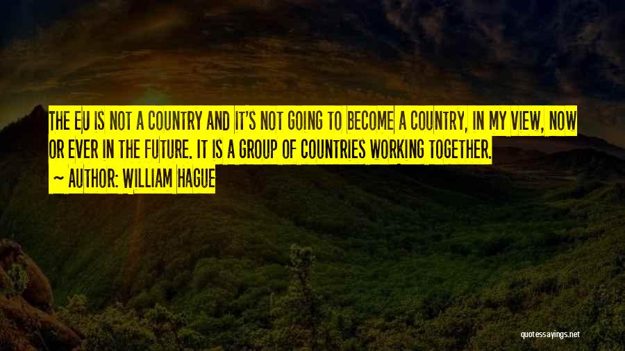 Countries Working Together Quotes By William Hague