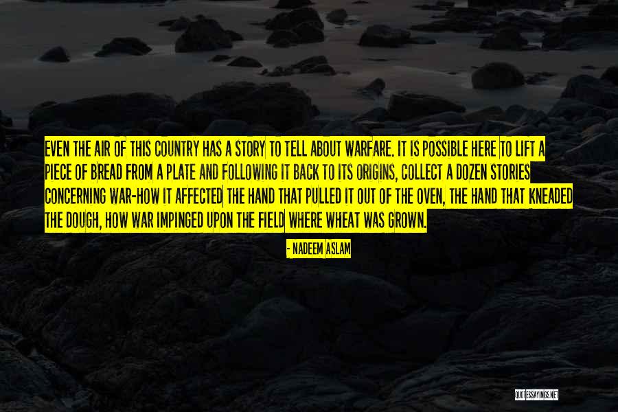 Country Air Quotes By Nadeem Aslam Country Air Quotes By Nadeem Aslam