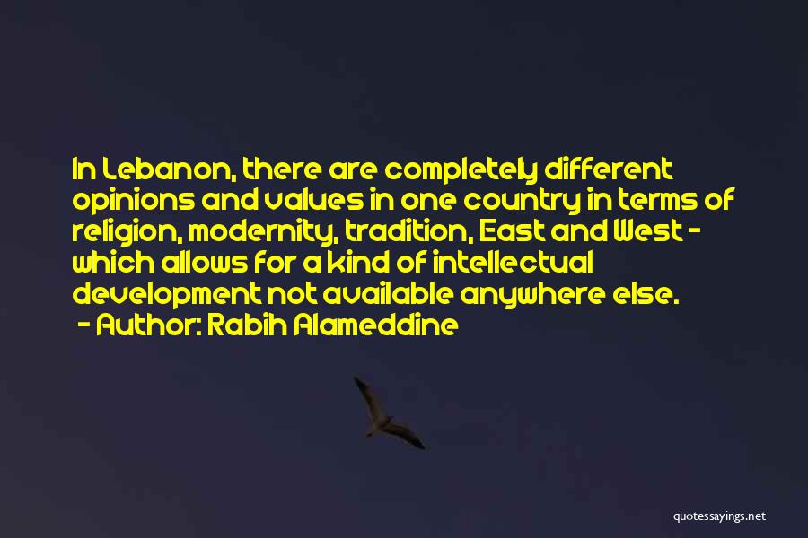 Country Development Quotes By Rabih Alameddine