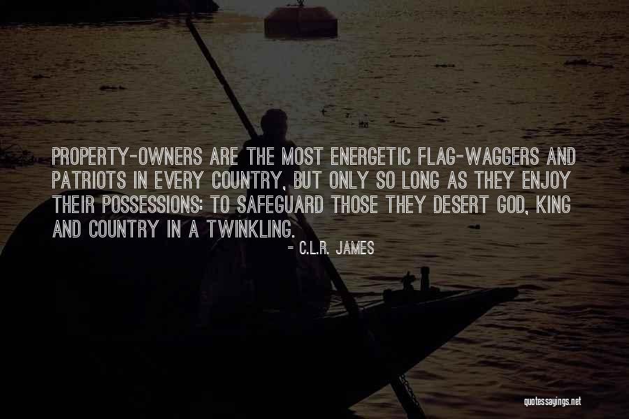 Country Flag Quotes By C.L.R. James Country Flag Quotes By C.L.R. James