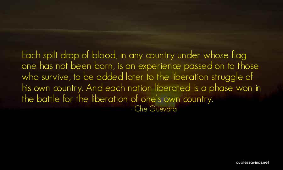 Country Flag Quotes By Che Guevara