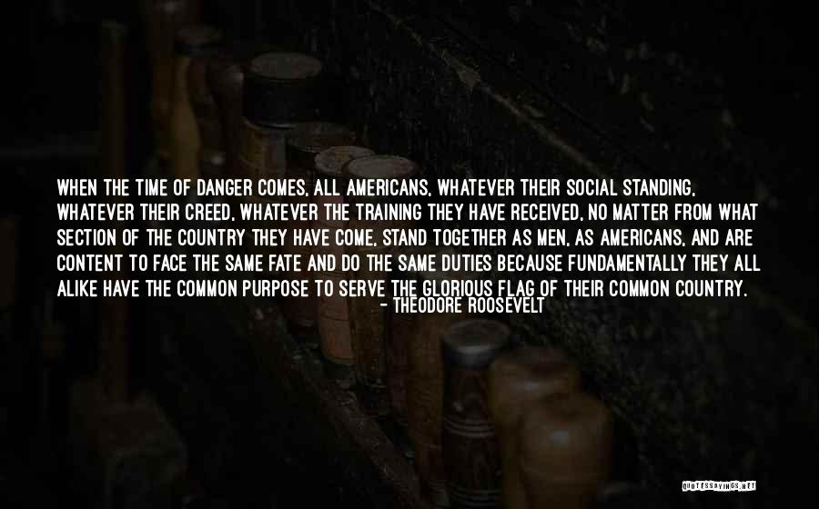 Country Flag Quotes By Theodore Roosevelt Country Flag Quotes By Theodore Roosevelt
