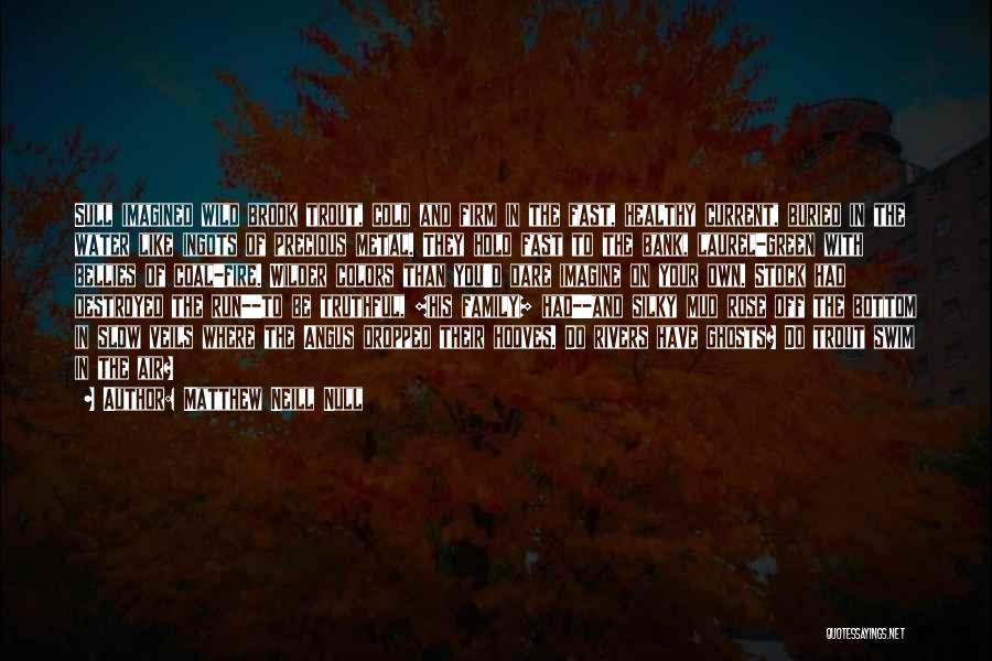 Country Folk Quotes By Matthew Neill Null Country Folk Quotes By Matthew Neill Null