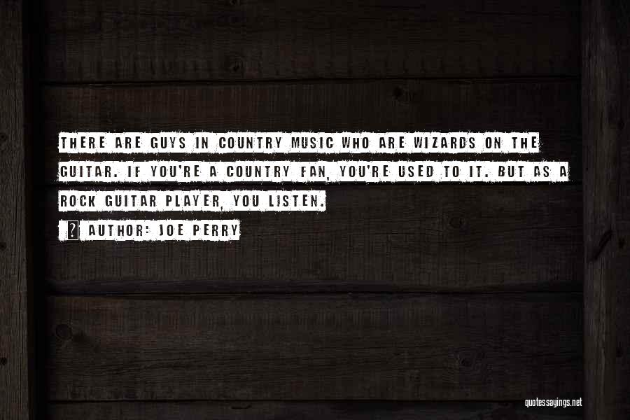 Country Guys Quotes By Joe Perry