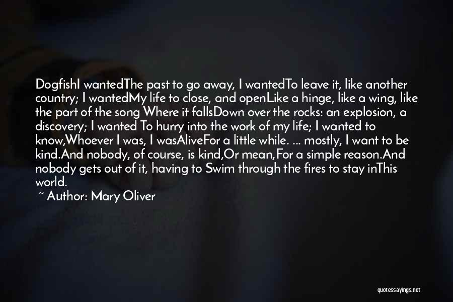 Country Life Song Quotes By Mary Oliver