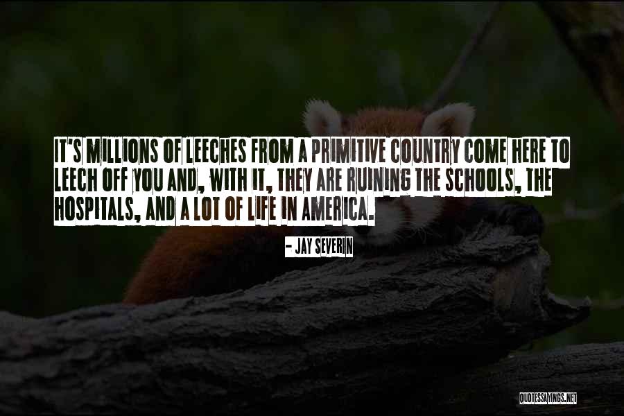 Country Primitive Quotes By Jay Severin Country Primitive Quotes By Jay Severin