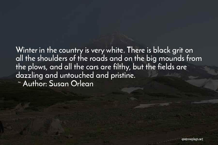 Country Roads Quotes By Susan Orlean