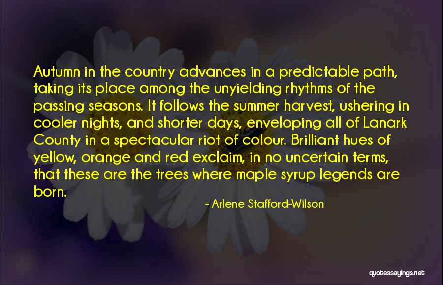 Country Summer Nights Quotes By Arlene Stafford-Wilson Country Summer Nights Quotes By Arlene Stafford-Wilson