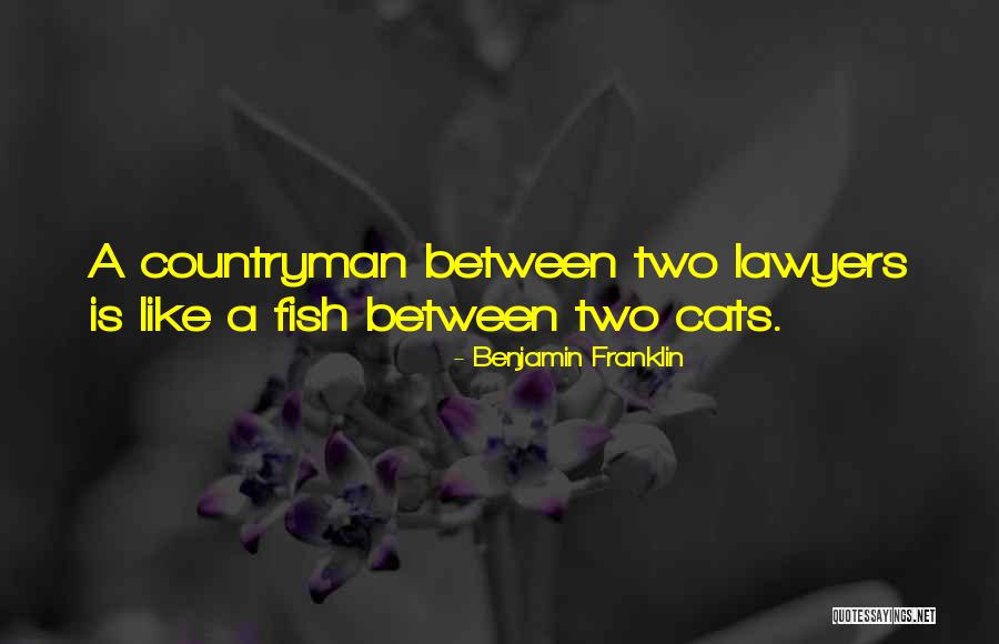 Countryman Quotes By Benjamin Franklin Countryman Quotes By Benjamin Franklin