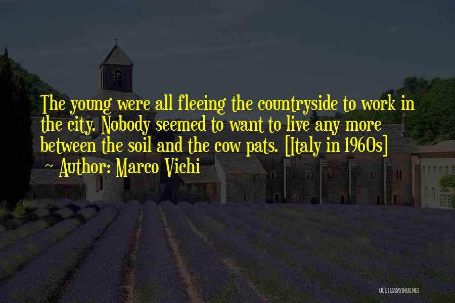 Countryside And City Quotes By Marco Vichi