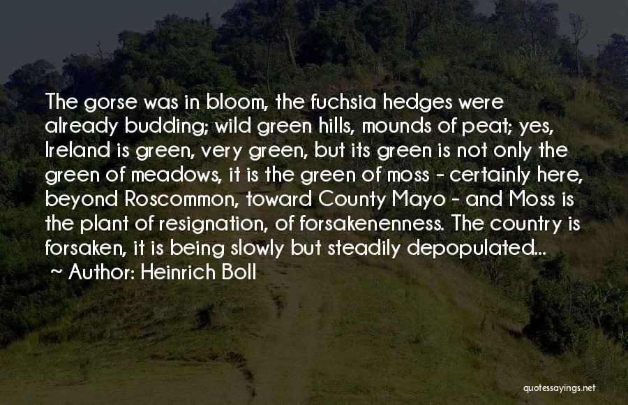 County Mayo Quotes By Heinrich Boll