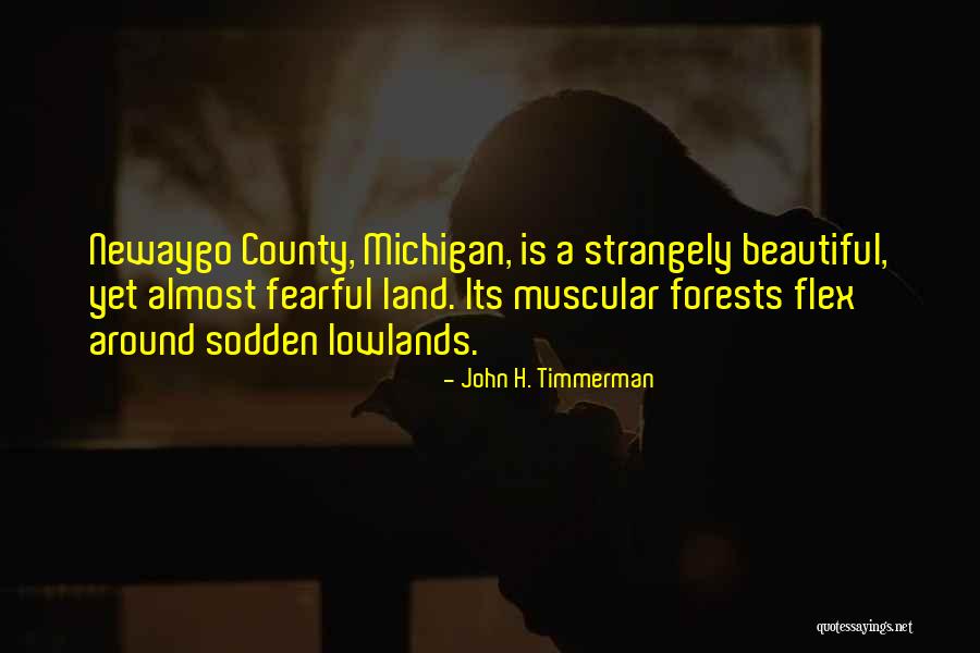 County Quotes By John H. Timmerman County Quotes By John H. Timmerman