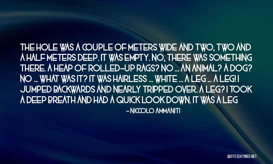 Couple Up And Down Quotes By Niccolo Ammaniti Couple Up And Down Quotes By Niccolo Ammaniti