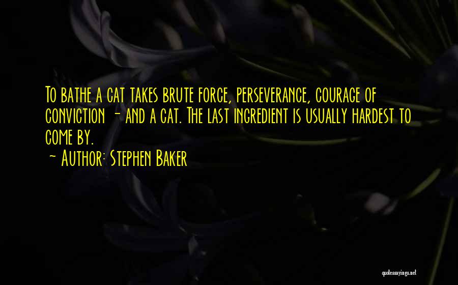 Courage And Conviction Quotes By Stephen Baker