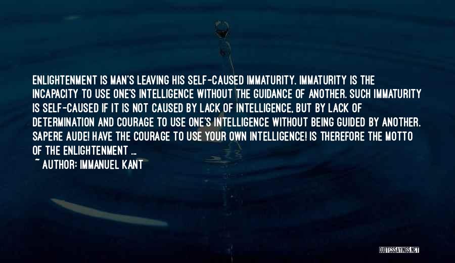 Courage And Determination Quotes By Immanuel Kant