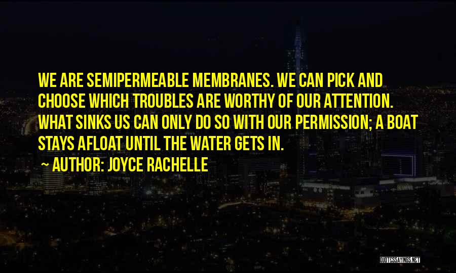 Courage And Determination Quotes By Joyce Rachelle