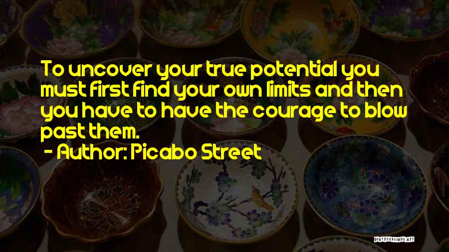 Courage And Determination Quotes By Picabo Street