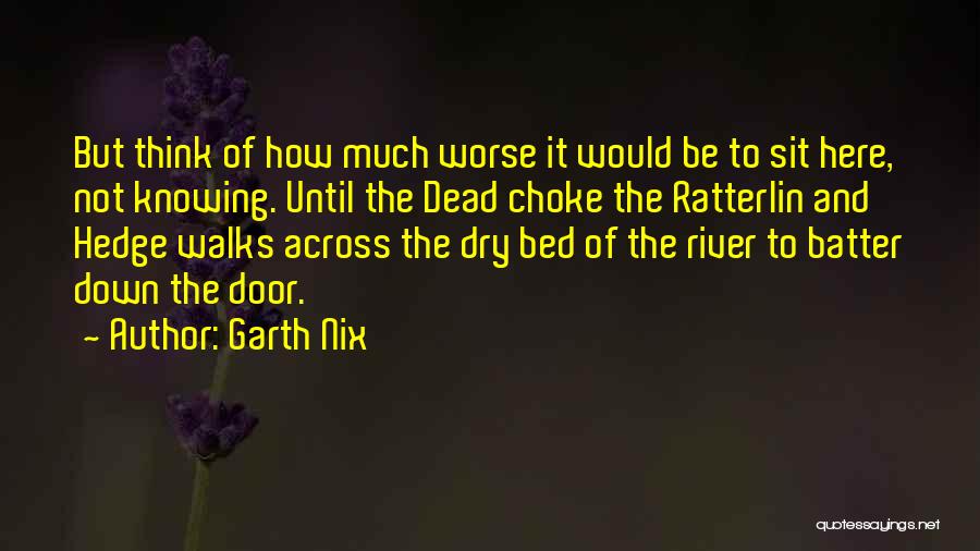 Courage And Fear Quotes By Garth Nix