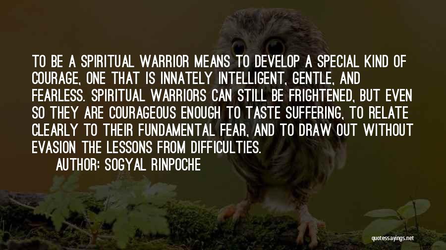 Courage And Fear Quotes By Sogyal Rinpoche