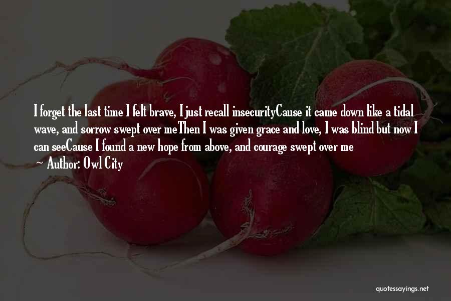 Courage And Love Quotes By Owl City