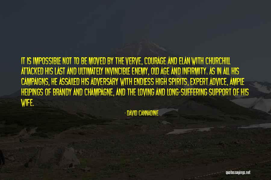 Courage And Support Quotes By David Cannadine Courage And Support Quotes By David Cannadine