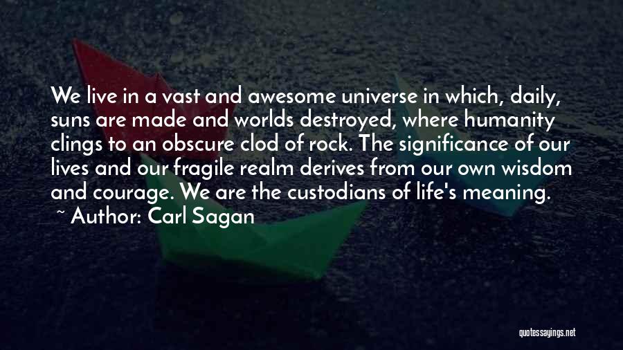 Courage And Wisdom Quotes By Carl Sagan