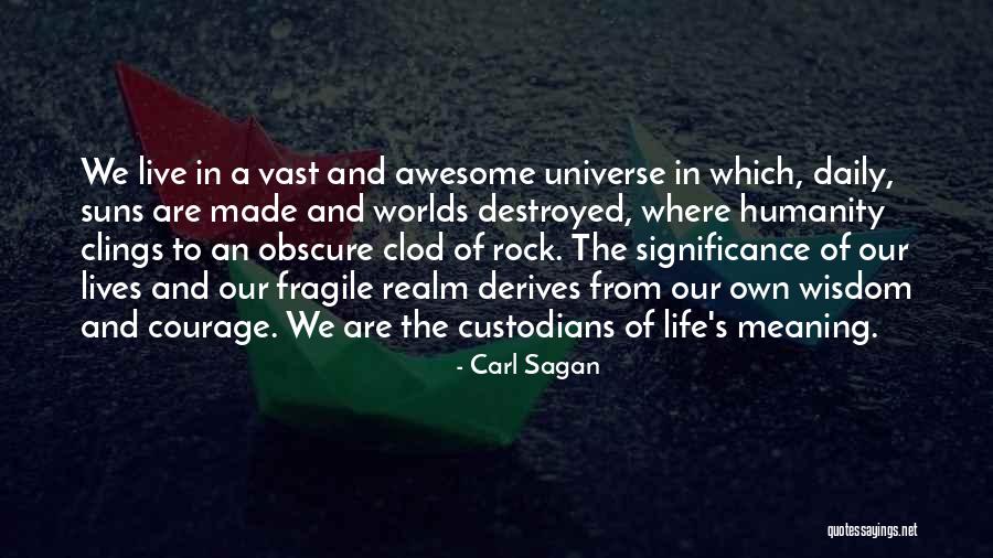 Courage And Wisdom Quotes By Carl Sagan