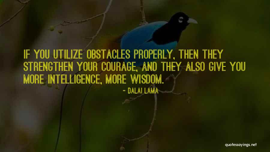 Courage And Wisdom Quotes By Dalai Lama