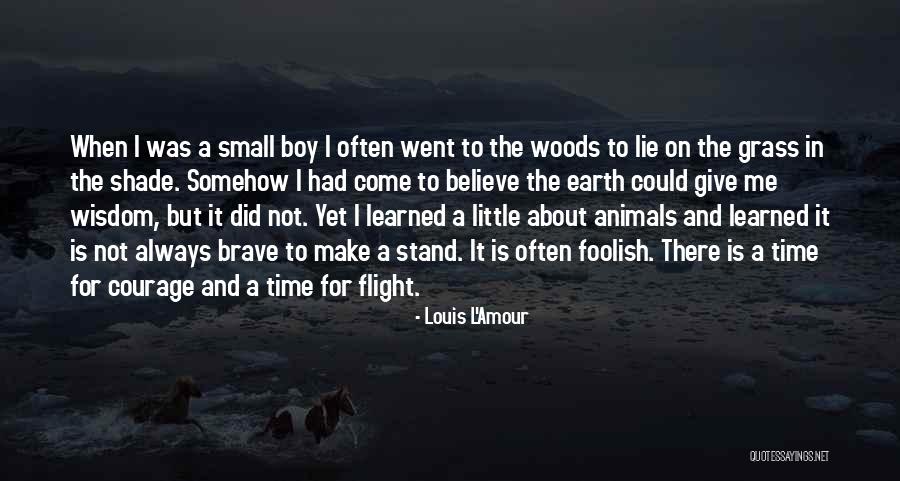 Courage And Wisdom Quotes By Louis L'Amour