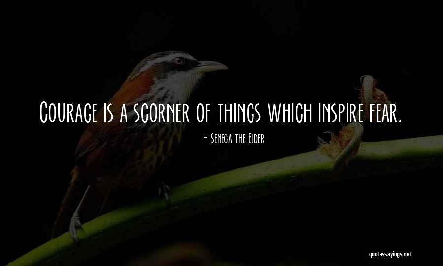 Courage Fear Quotes By Seneca The Elder Courage Fear Quotes By Seneca The Elder